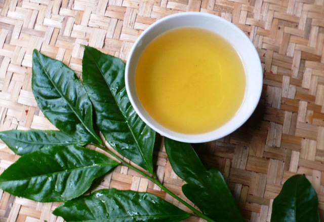 Chè xanh icon