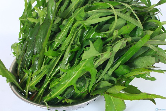 Rau bồ công anh logo