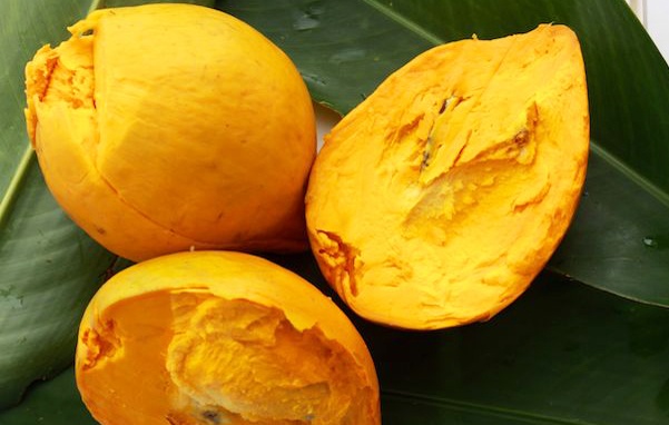 Quả trứng gà icon
