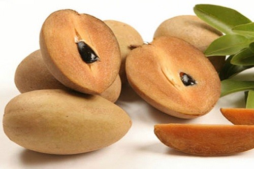 Quả hồng xiêm icon