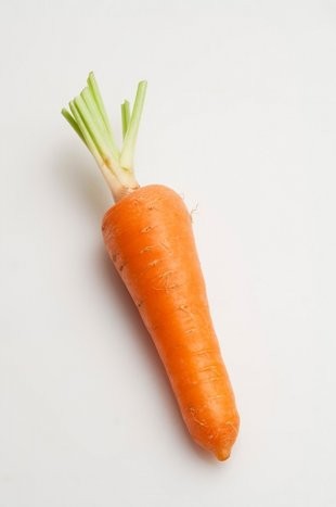 Củ cà rốt icon