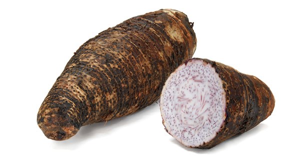 Củ khoai môn icon
