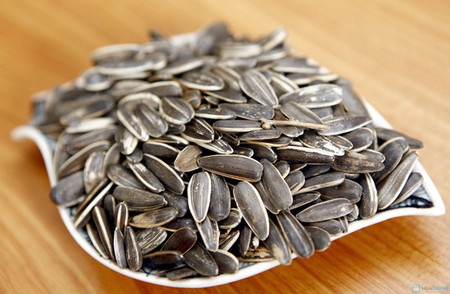 Hạt hướng dương icon