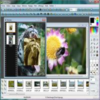 PhotoFiltre Studio -icon 