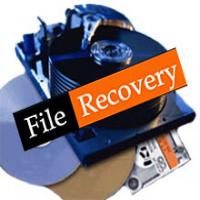PC Inspector File Recovery -icon 