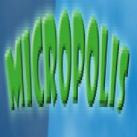 Micropolis -icon 