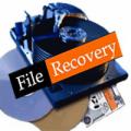 PC Inspector File Recovery logo