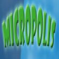 Micropolis icon