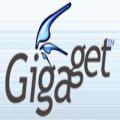 GiGaGet icon