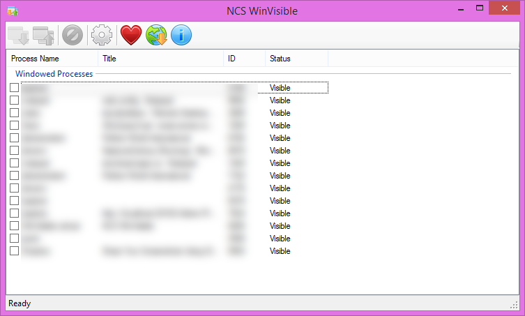 NCS WinVisible screenshot 2