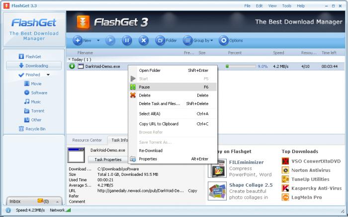 FlashGet screenshot 4